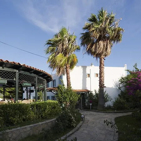 酒店 Istanbul Bodrum 3*