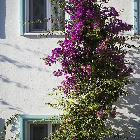 Istanbul Bodrum 3* 古托克布库
