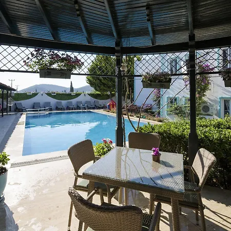 Istanbul Bodrum 3* 古托克布库